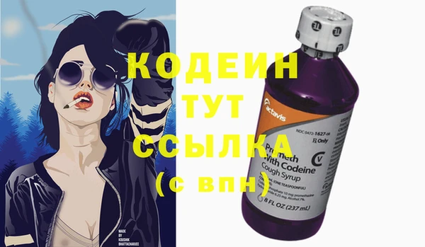 Альфа ПВП Белокуриха