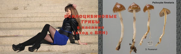 Альфа ПВП Белокуриха