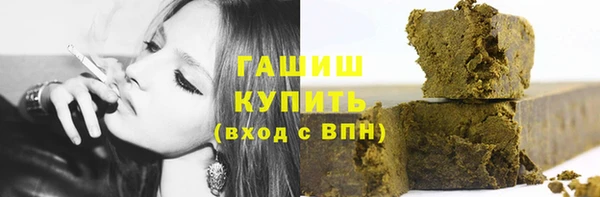 сатива Беломорск