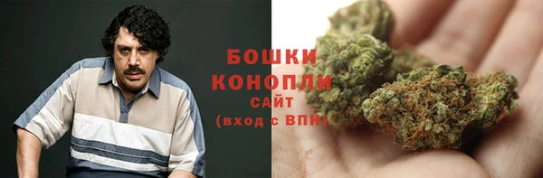 Альфа ПВП Белокуриха