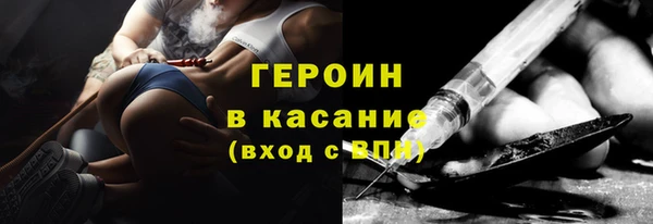 сатива Беломорск