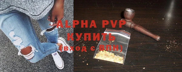 сатива Беломорск