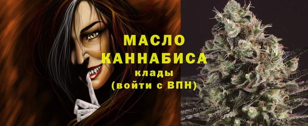 сатива Беломорск