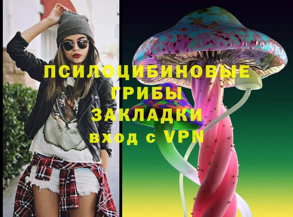 сатива Беломорск