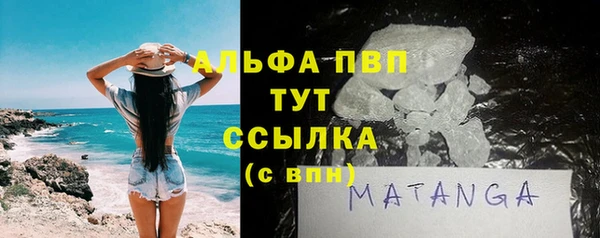 сатива Беломорск
