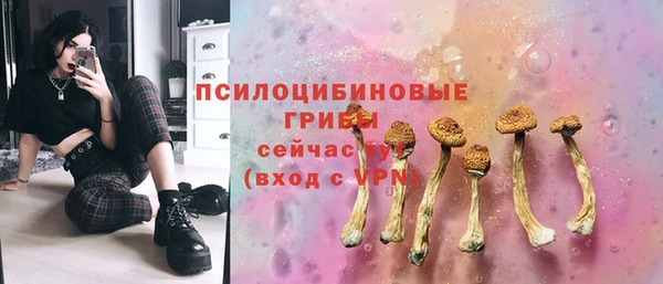 Альфа ПВП Белокуриха