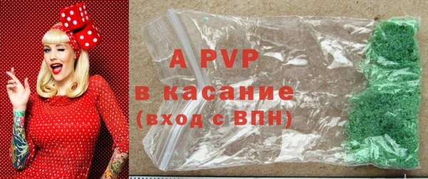Альфа ПВП Белокуриха