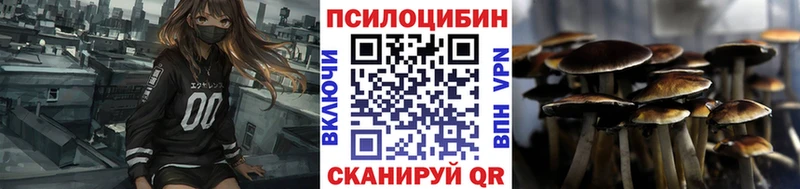 Галлюциногенные грибы MAGIC MUSHROOMS Горно-Алтайск